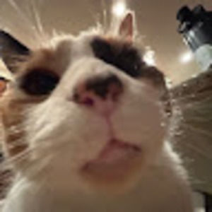 Meet your Posher, Riley